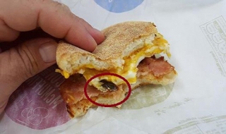 Khách tố bánh kẹp McDonald có gián ở Australia