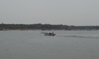 Cấm cứ cấm, nuôi cứ nuôi