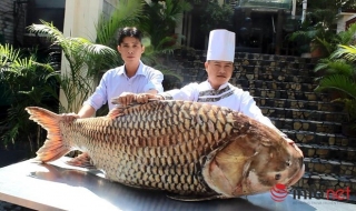 Cá hô “khủng” hơn 100kg ở Sài Gòn