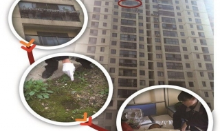 Cậu bé 3 tuổi sống sót thần kỳ sau khi rơi từ tầng 15 xuống đất