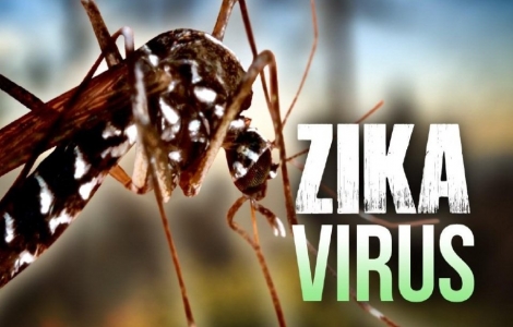 Công bố hết dịch do virus Zika tại Khánh Hòa và TP.Hồ Chí Minh