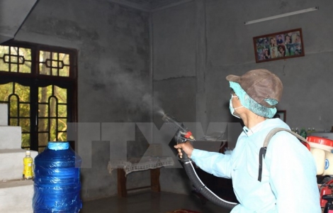 Đề phòng virus Zika xuất hiện trở lại trùng với dịch sốt xuất huyết