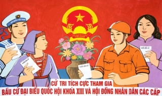 Hội nghị tiếp xúc cử tri trong vận động bầu cử do ai tổ chức và có những nội dung gì?