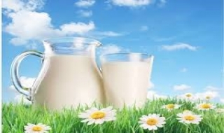 Australia giảm dự báo sản lượng sữa niên vụ 2016/17 xuống 3%