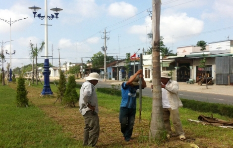 Thay mới cây xanh trên dải phân cách đường Điện Biên Phủ