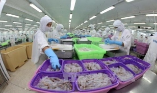 Việt Nam và Hoa Kỳ ký thỏa thuận về chống bán phá giá tôm