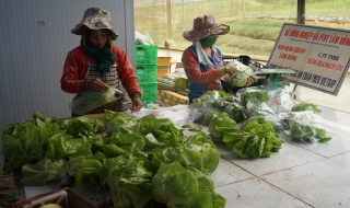 Cần một chiến lược dài hạn