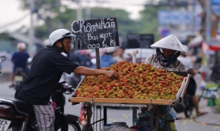 Vì sao trái cây rẻ rề nhưng vẫn ế?