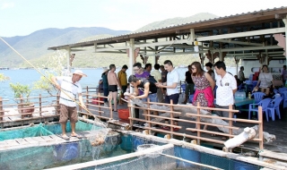 Khánh Hòa sẽ chấm dứt hoạt động các bè nổi trên biển