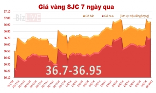 Giá vàng SJC tăng trở lại, áp sát ngưỡng 37 triệu đồng/lượng