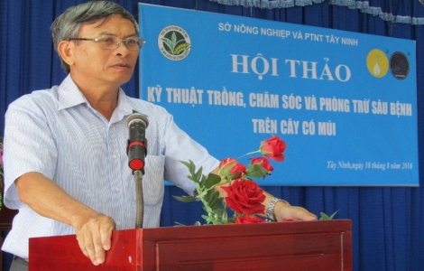 Hội thảo chuyên đề về kỹ thuật chăm sóc và phòng trừ bệnh trên cây có múi