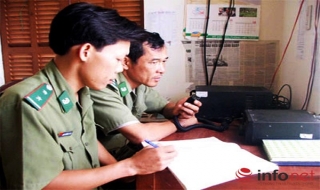 Đà Nẵng: Nghiêm cấm tàu thuyền ra khơi