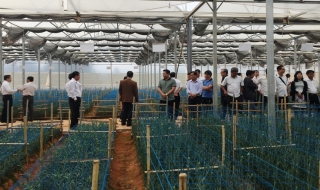 Làm thế nào để phát triển nông nghiệp bền vững?