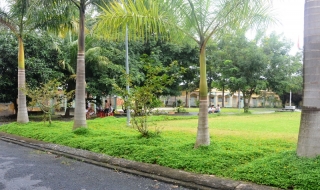 Nỗi lo còn dài sau cai nghiện