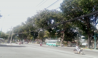 Xu hướng của đô thị văn minh