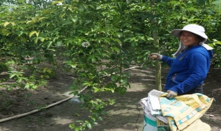 Cải thiện môi trường đầu tư, phương thức sản xuất để phát triển nông nghiệp công nghệ cao