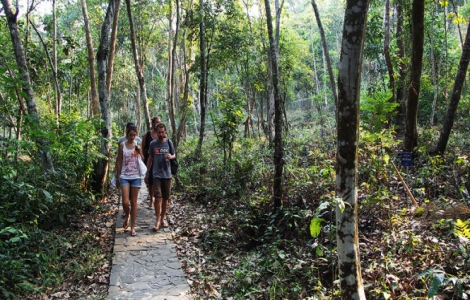 Quảng Bình 'khoe' hang động Phong Nha - Kẻ Bàng tại Anh