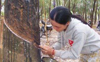 75% lao động nông thôn có việc làm sau đào tạo