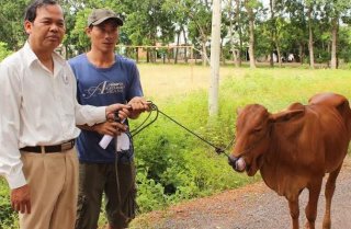 Hội nghị Ban Chấp hành Hội Chữ thập đỏ Tây Ninh lần thứ X