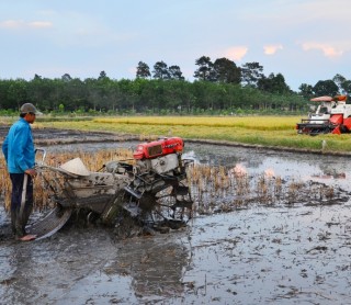 Một cánh đồng phì nhiêu đang chờ được đầu tư