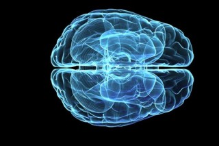 ​Não bộ con người bắt đầu lão hóa ngay từ tuổi 45