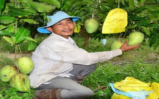 Cả nước chung tay cùng Tây Ninh thực hiện mô hình điểm kinh tế nông nghiệp bền vững