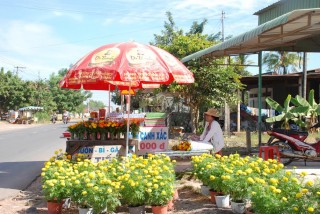 Tảo mộ thuê ngày cuối năm