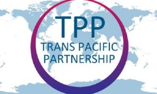 Nhật Bản xem xét lập cơ quan đàm phán sau khi Mỹ rút khỏi TPP