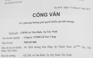 Công ty nợ lương, công nhân mất tết