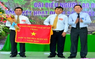 Công ty Cổ phần cao su Tân Biên: Tổng sản lượng tiêu thụ năm 2016 đạt trên 100%