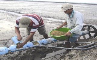 Khó khăn vẫn là “đầu ra”