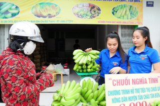 Nỗ lực “cứu” nông dân trồng chuối già Nam Mỹ