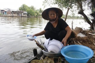 Dễ bị ô nhiễm thuốc diệt cỏ