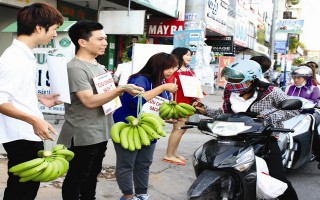 Doanh nghiệp phải bù lỗ để “cứu chuối”