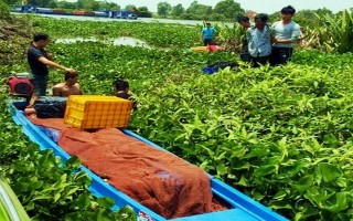 Công an Tây Ninh: Bắt giữ hơn 10.000 gói thuốc lá lậu