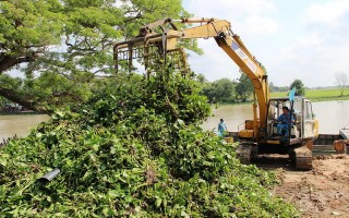 Gian nan xử lý "vấn nạn" lục bình trên sông Vàm Cỏ Đông