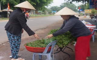 Thực  phẩm  “cây nhà lá vườn” được ưa chuộng