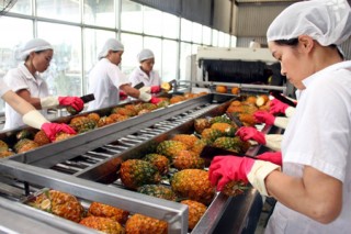Nông sản: Điểm sáng trong giao lưu thương mại Việt Nam - Hàn Quốc