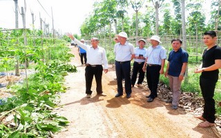 Thêm một cơ hội tốt cho nông dân