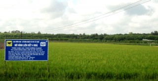 Tây Ninh: Nhiều dự án chưa triển khai trên đất đã chuyển mục đích sử dụng
