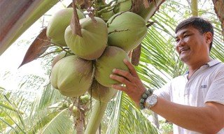 'Ma tốc độ' bỏ buôn lậu trở thành tỷ phú