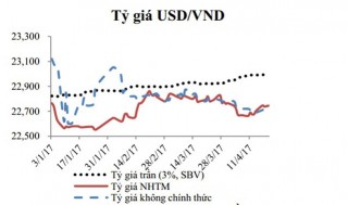 Nhập siêu tăng sức ép, tỷ giá “dựa” ngoại hối