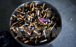 Việt Nam tổn thất 24.600 tỷ đồng mỗi năm do thuốc lá gây ra