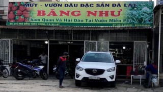 Đừng để mất mặt vì 'cò' mứt