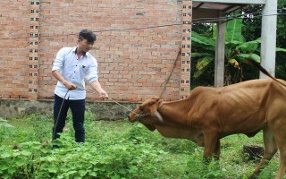 Những cách làm hay