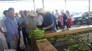 Đại học Nam Philippine: Thăm, thảo luận chương trình phát triển nông nghiệp tại Tây Ninh