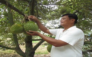 Bàu Đồn ngày nay