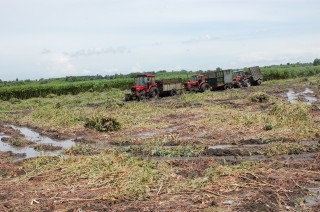 Kênh tiêu thuỷ lợi còn quá ít