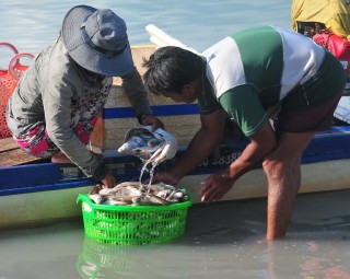 Bến cá trong hồ Dầu Tiếng