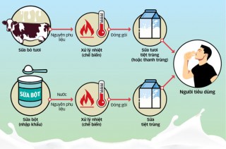 Bộ Y tế trả lại đúng tên cho sữa tươi